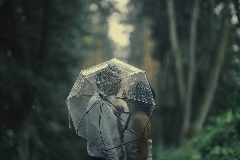 Фотография автора Mansoor Heydaryan