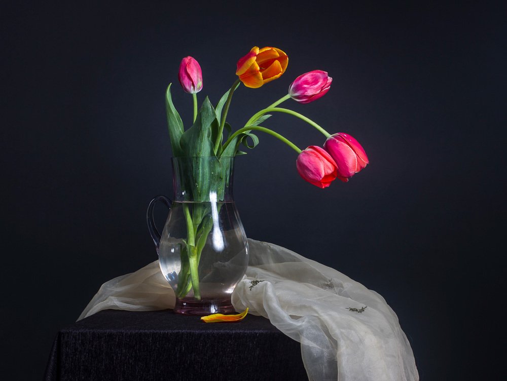 Фотография автора Refat Mamutov