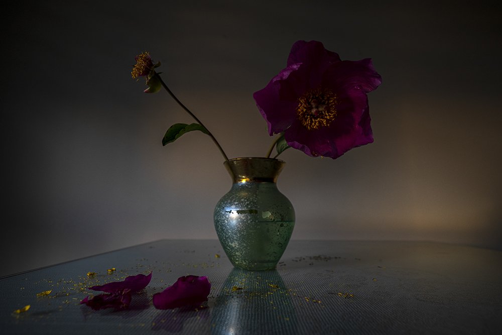 Photograph by hakime küçük