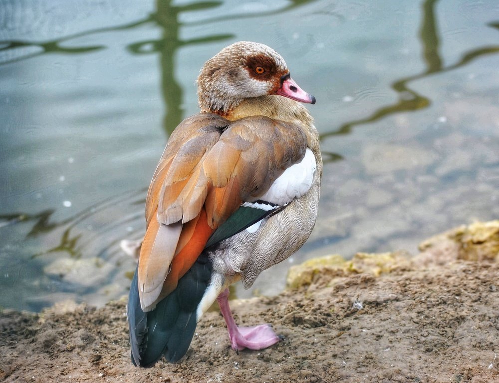 Фотография автора Justyna Jeżak