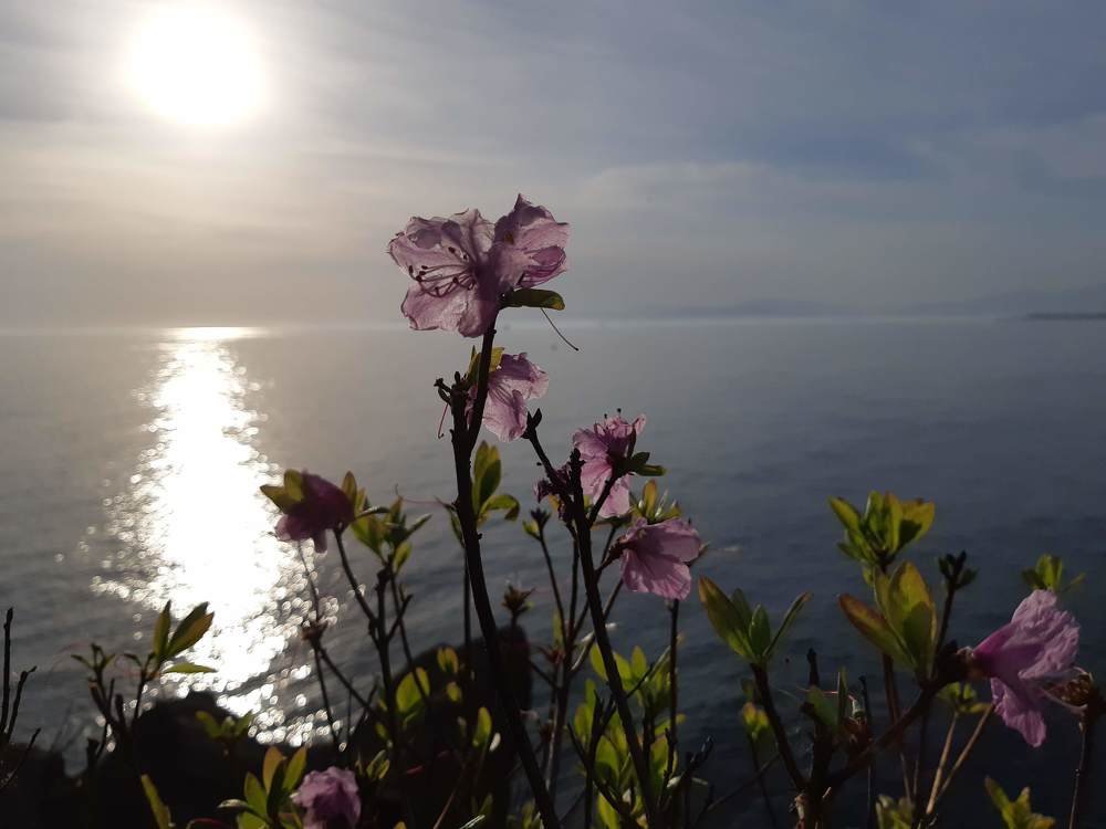 Цветной закат