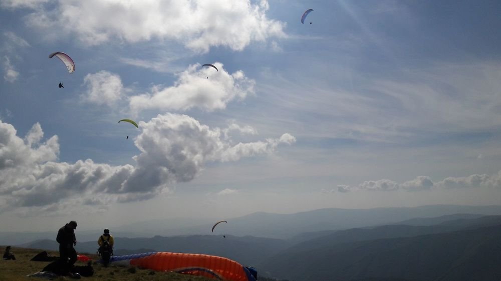 Фотография автора Алина Прищепа