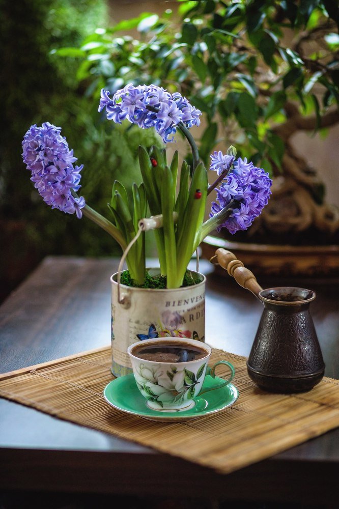 Photograph by Владислав Мотузенко