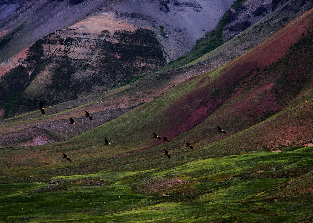 Photograph by Amalia Segovia