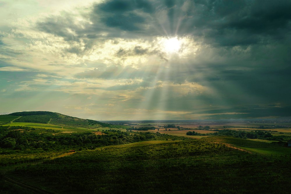 Фотография автора Zuzi Janek