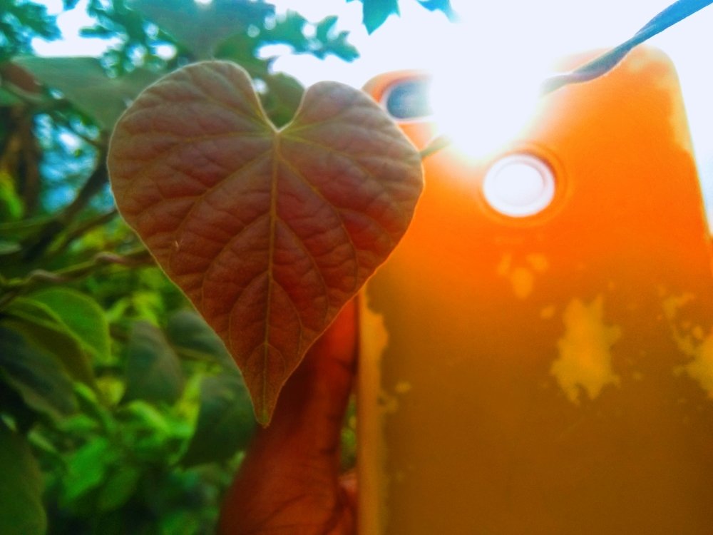 Photograph by Ayodeji Oyerinde