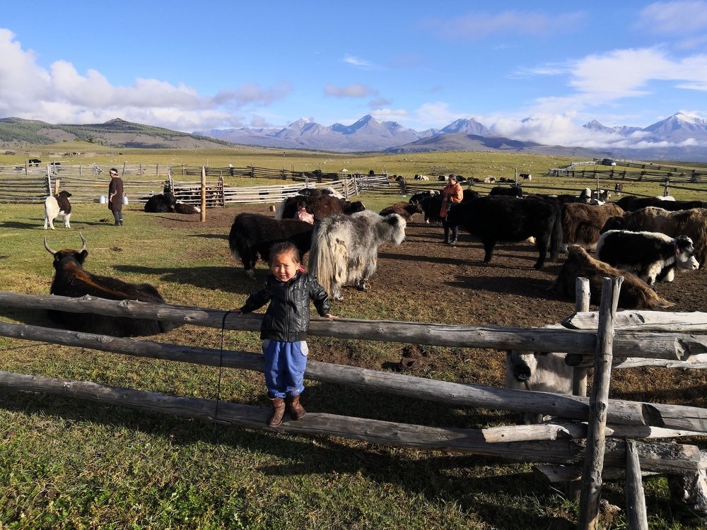 Nomadic children