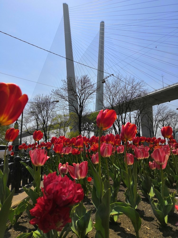 Photograph by Марго Ерёмина