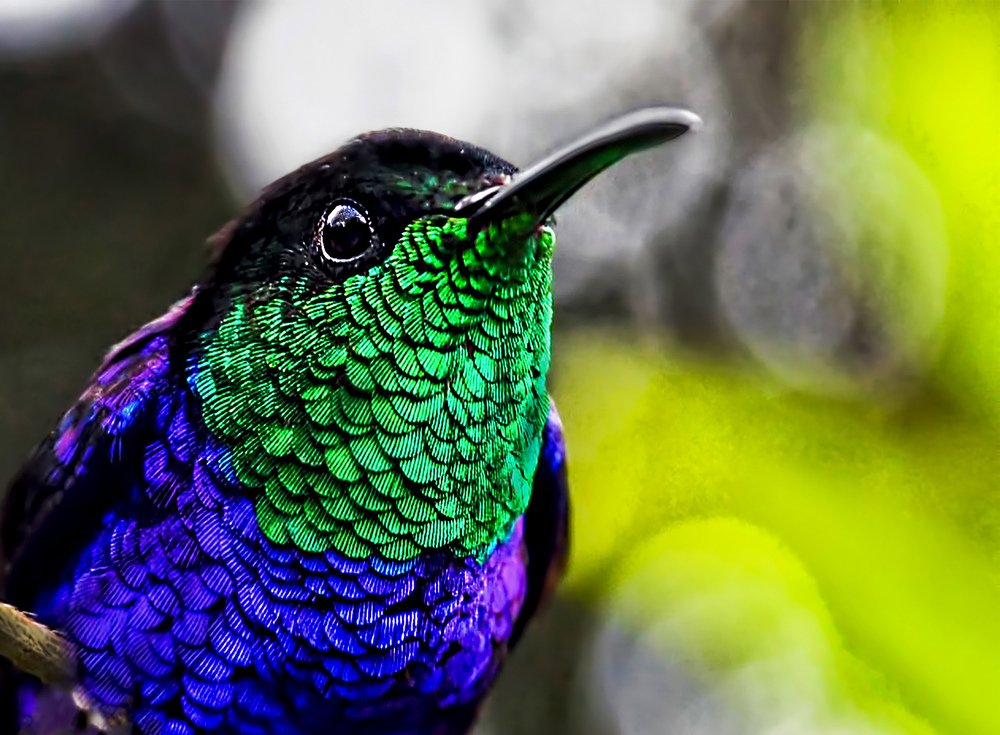 Photograph by  LUIS GERARDO