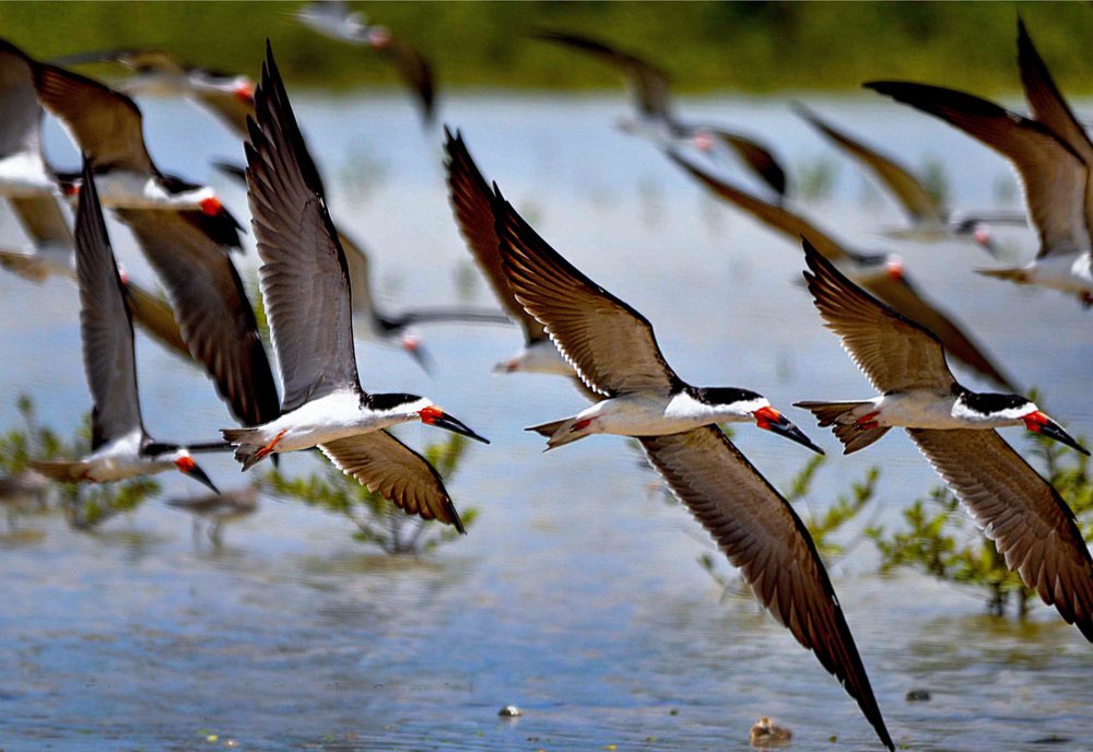 Photograph by  LUIS GERARDO