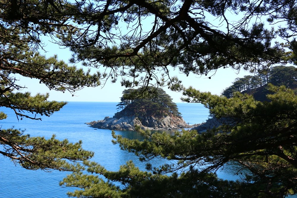 Бухта Теляковского