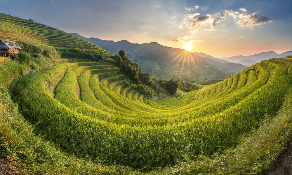 Photograph by Tiến Bùi