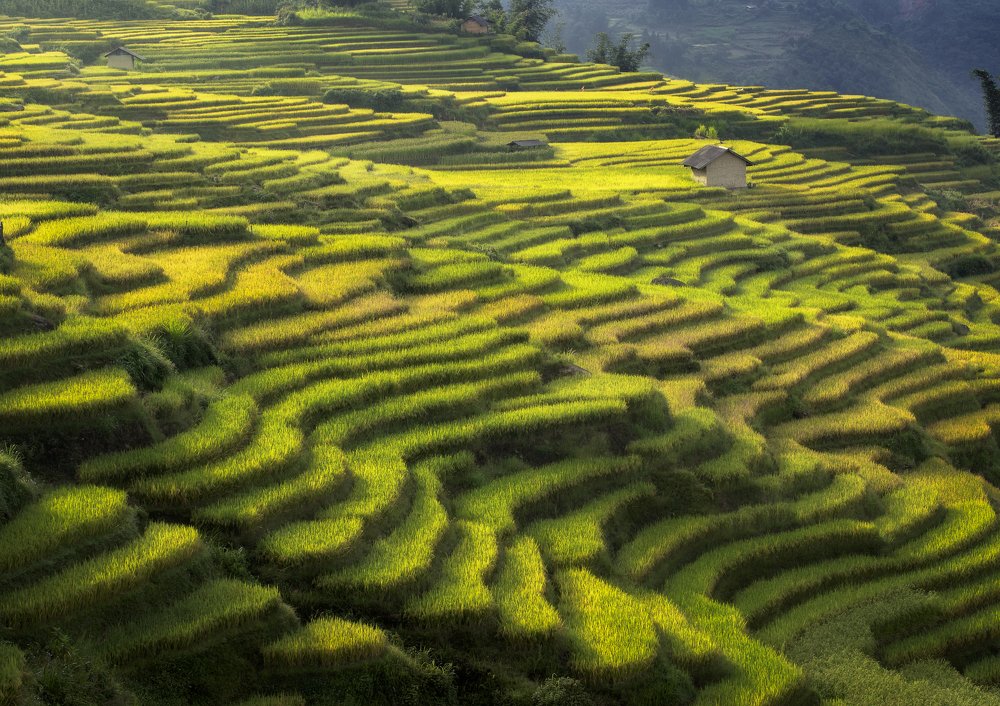 Photograph by Tiến Bùi