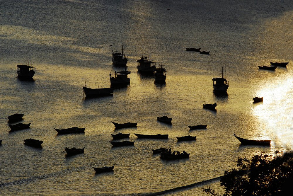 Photograph by  LUIS GERARDO