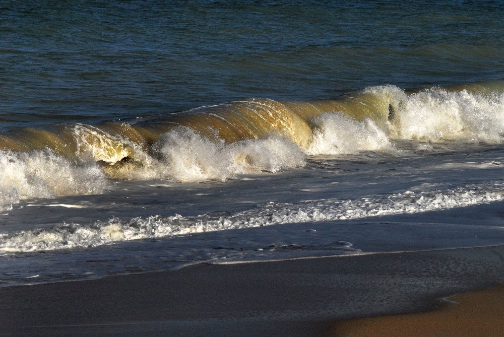 Photograph by  LUIS GERARDO