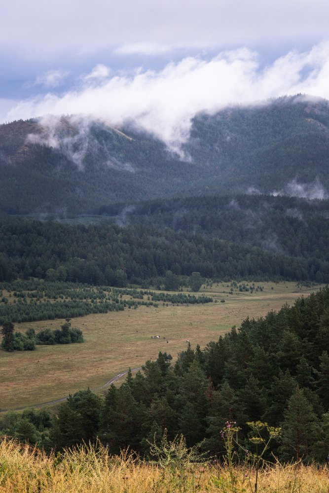 Утро в ущелье.