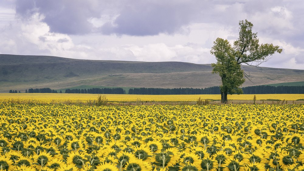 Photograph by Денис Храмеев