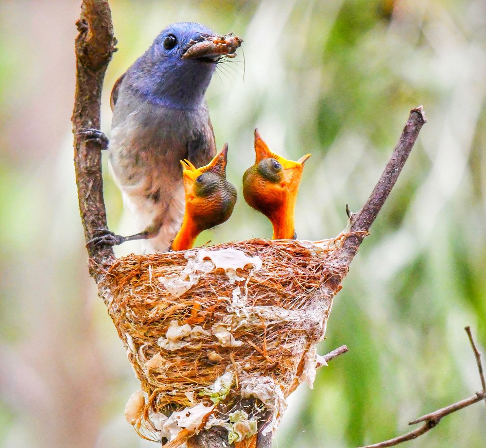 Photograph by Thaung Win Tun