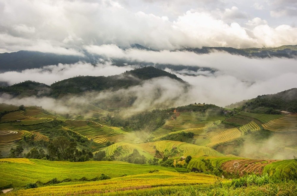 Photograph by Hoàng Giang Ngô