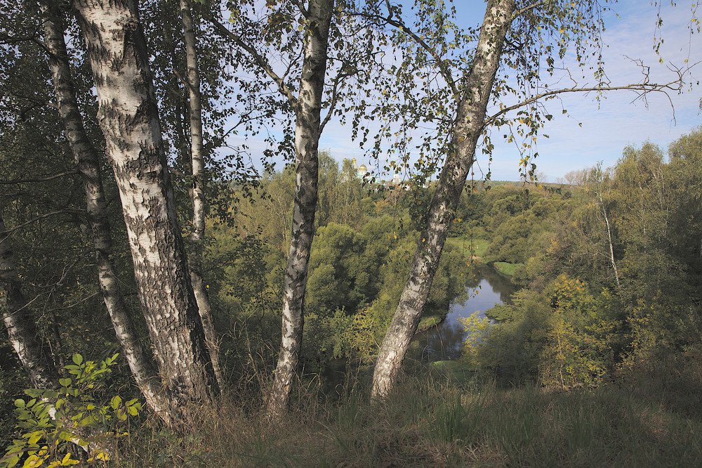 Вид на Новый Иерусалим