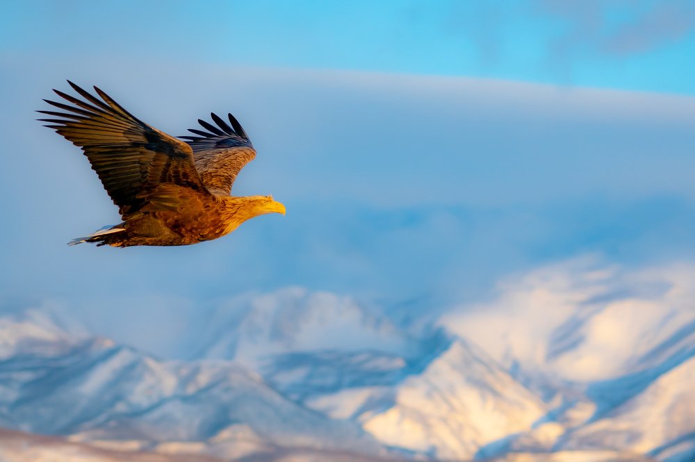 Photograph by Lee Khai