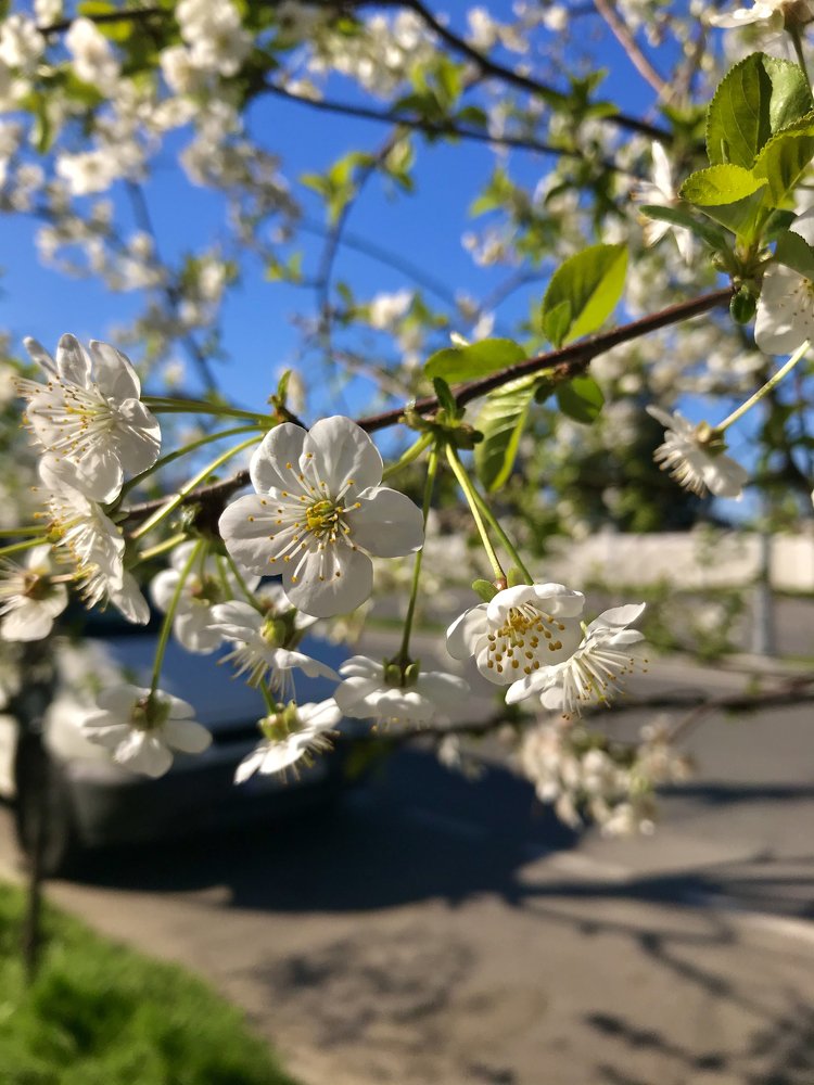 Фотография автора Олег Косоуров