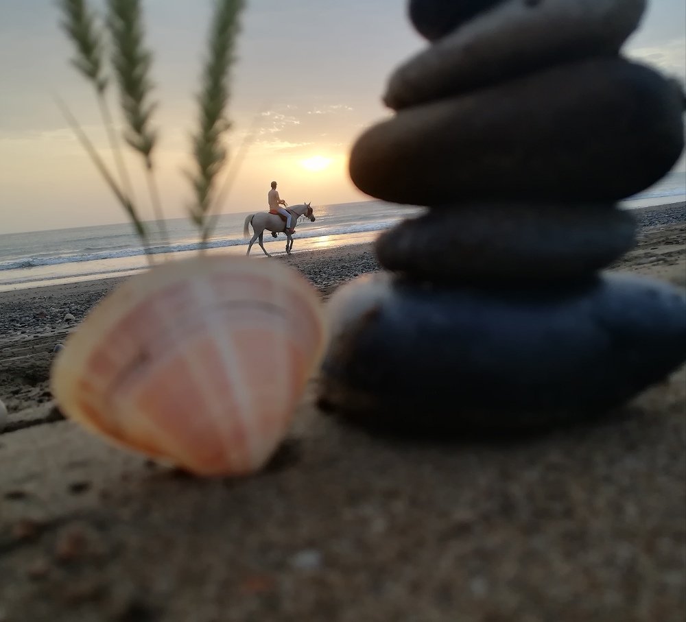 horses