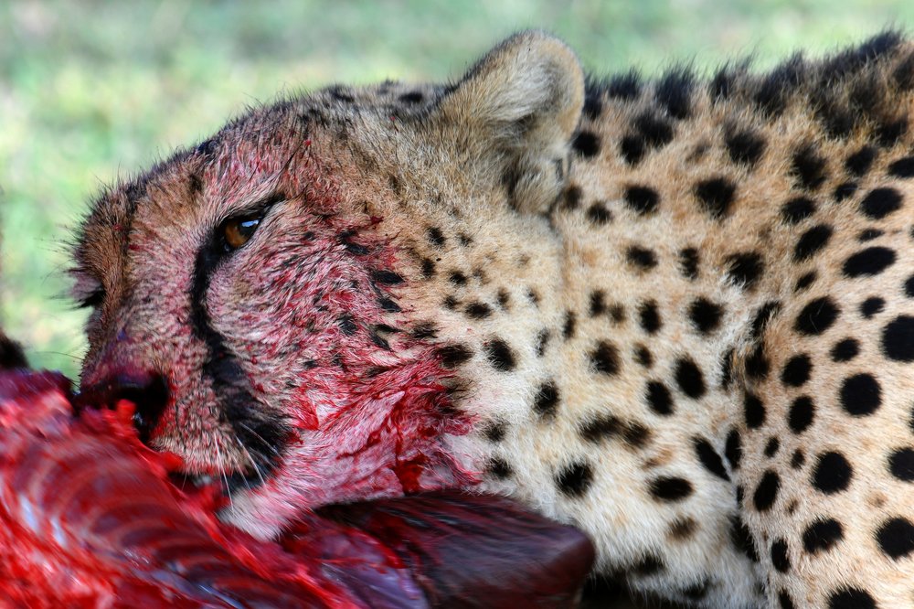 Photograph by Yuwaraj Gurjar