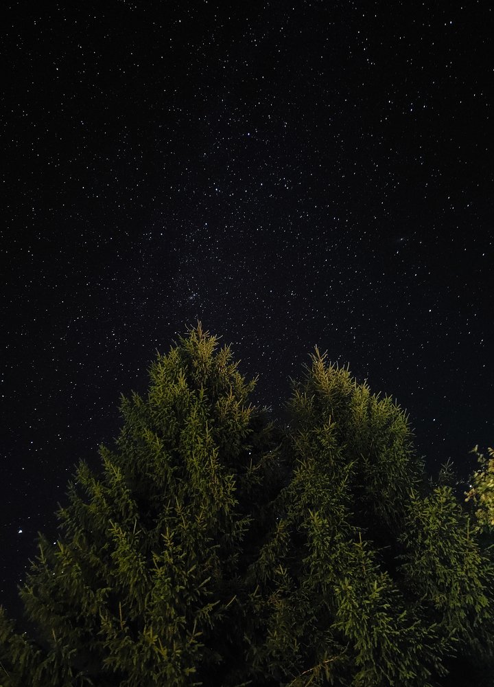 Photograph by Дарья