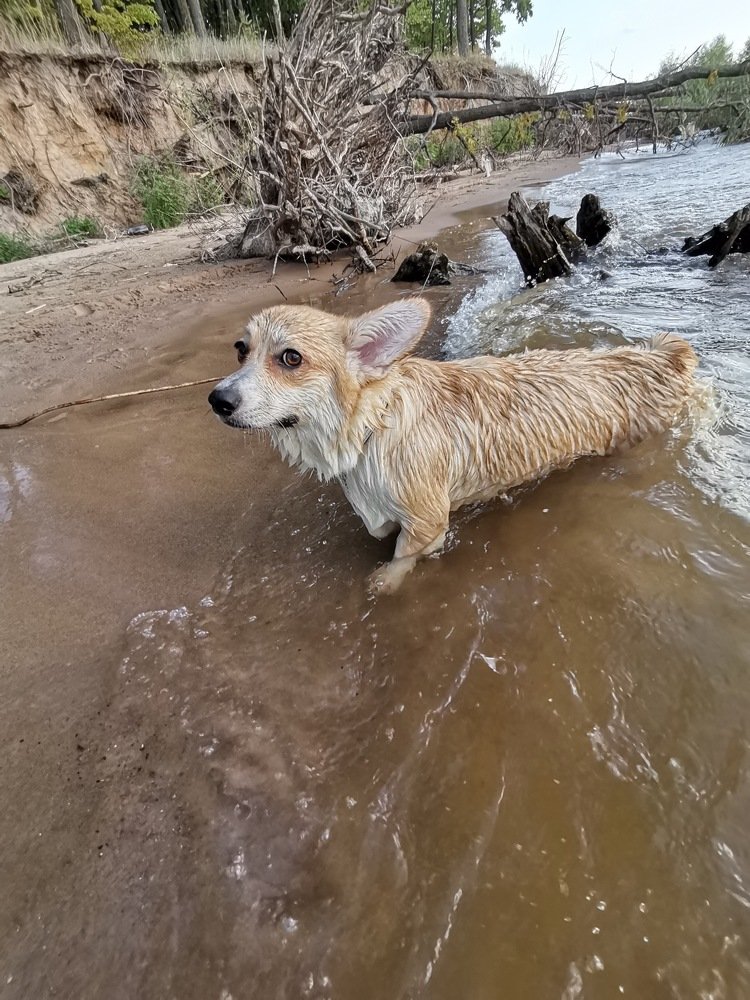 Photograph by Евгения