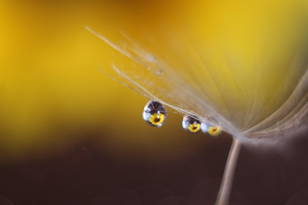 Фотография автора Анна Кравченко