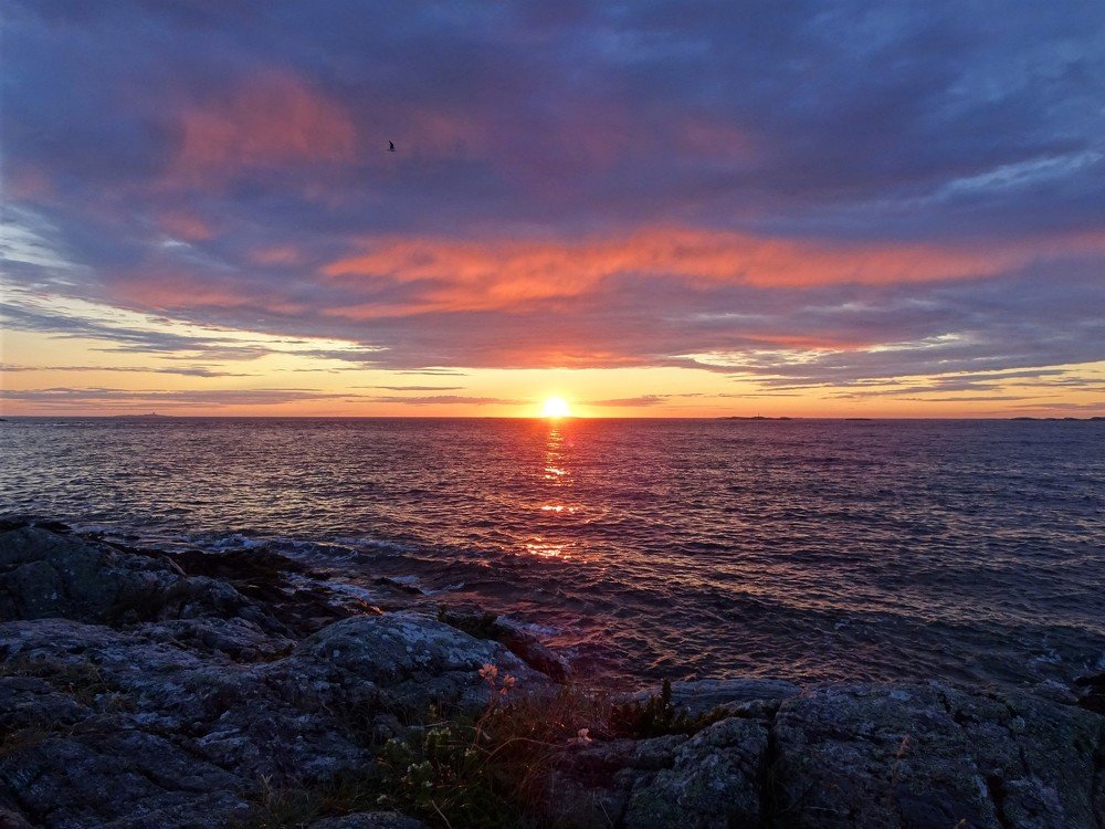 Photograph by Людмила