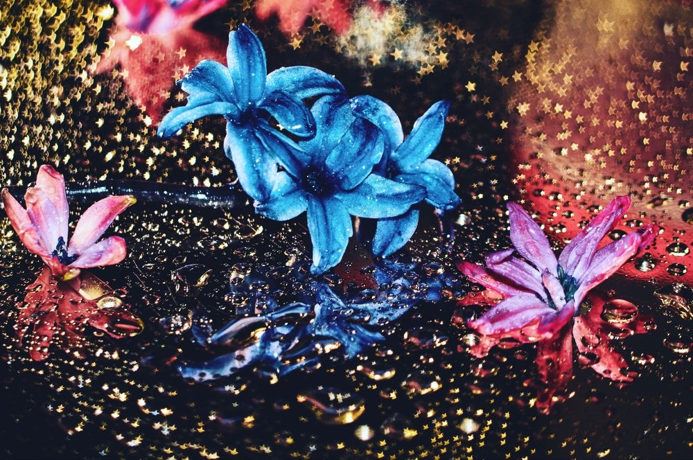 Photograph by Кирилл Кульган