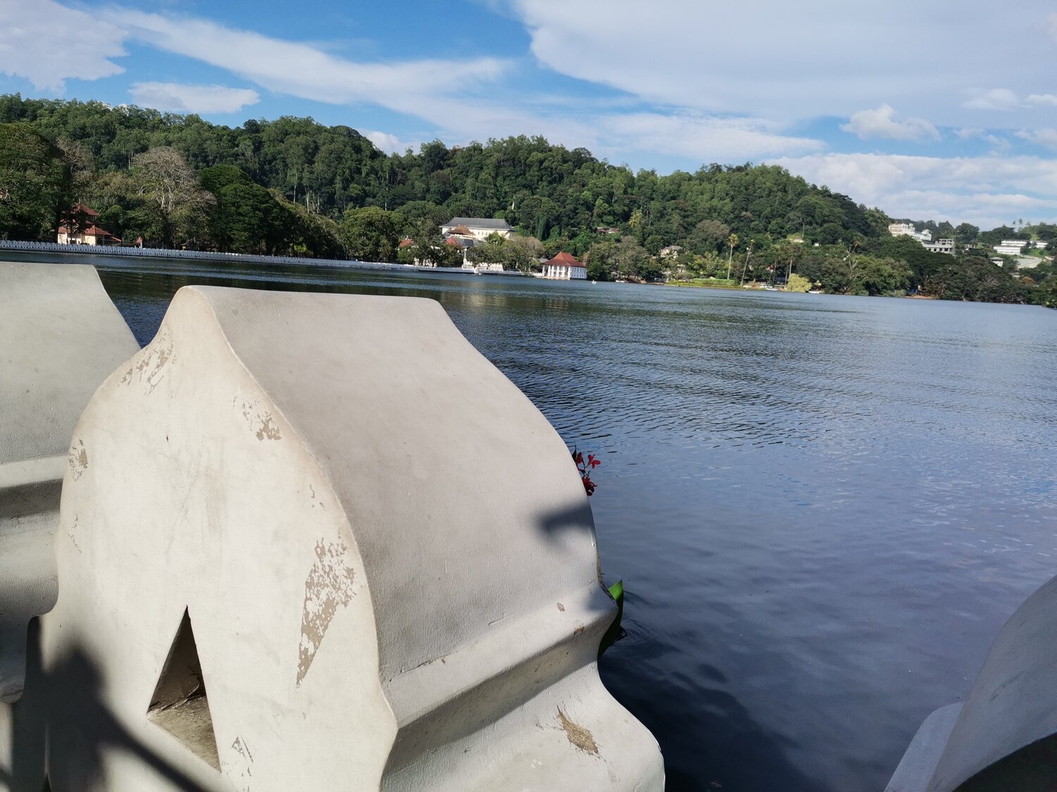 Photo #4962414