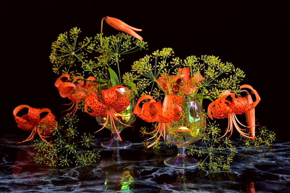 Photograph by Ирина Алексеева