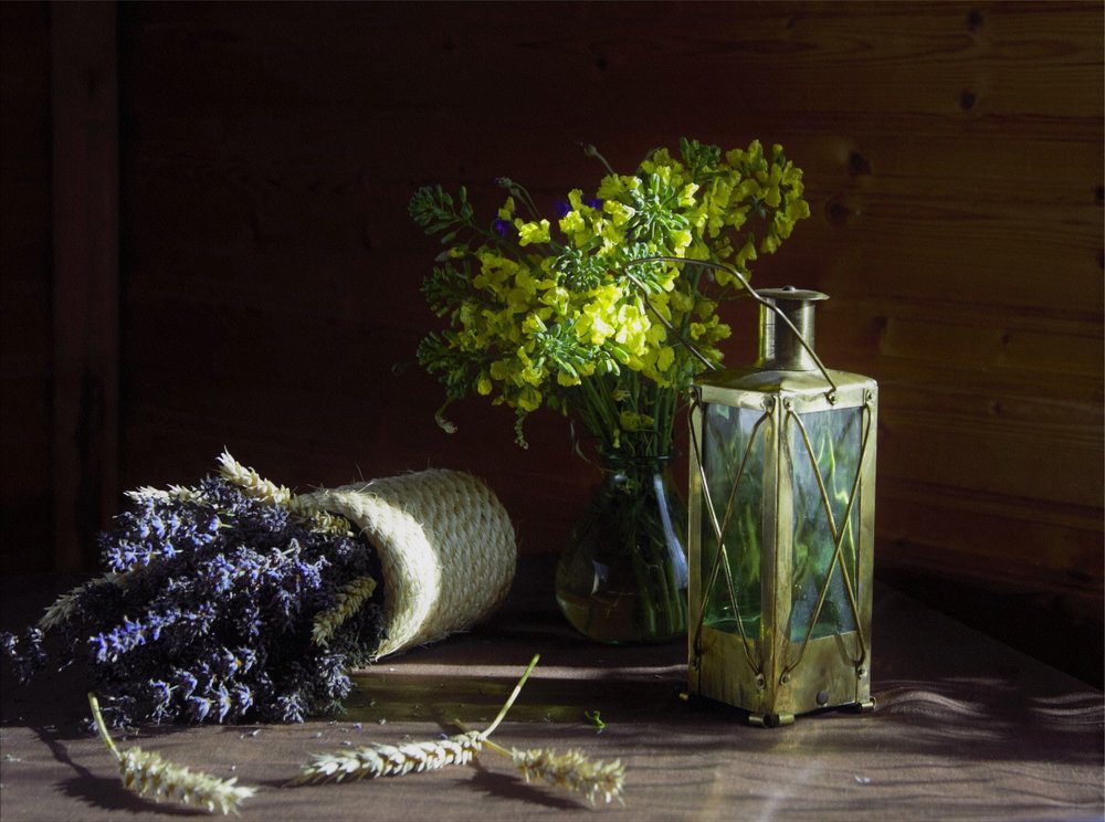 Photograph by Liudmila Drake