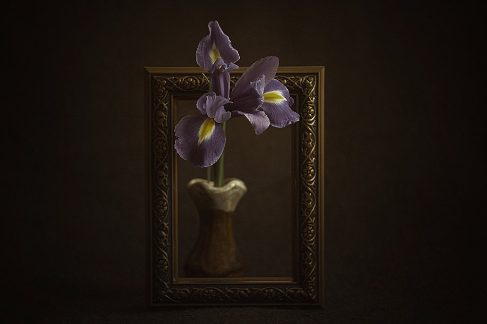 Photograph by Ольга Алексейчик