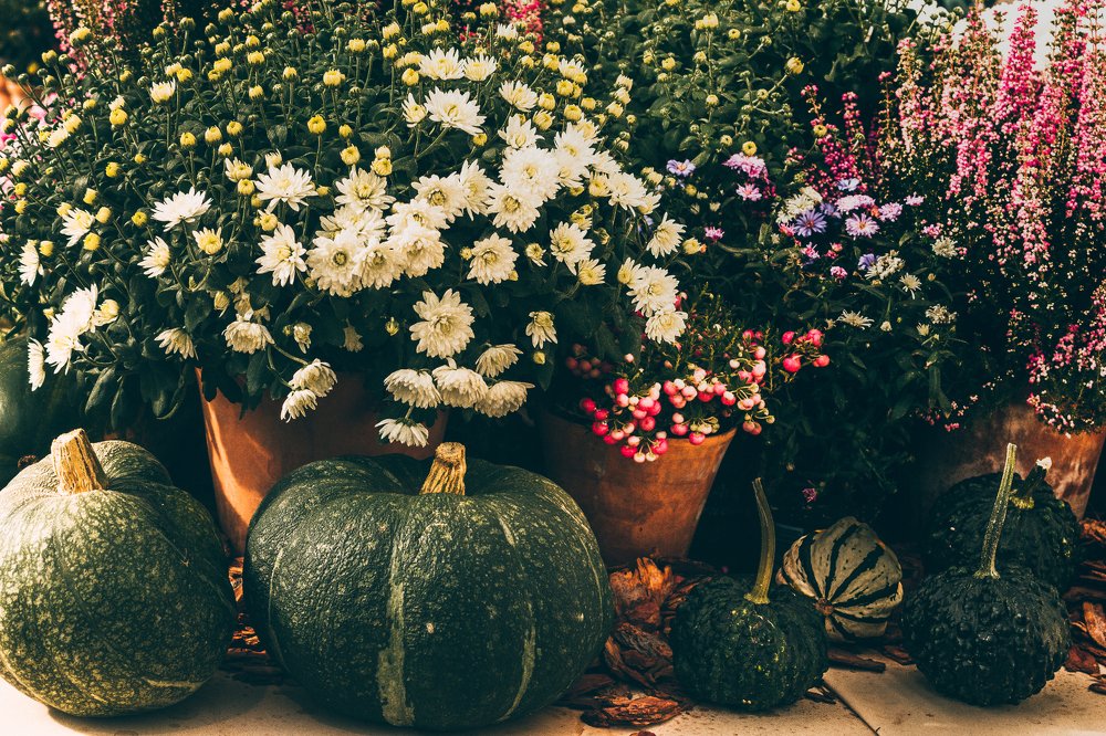 Photograph by Мария Паина