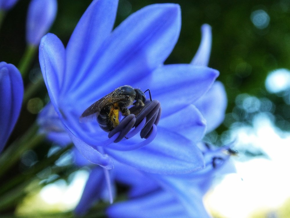 Photograph by Davorin Jurković