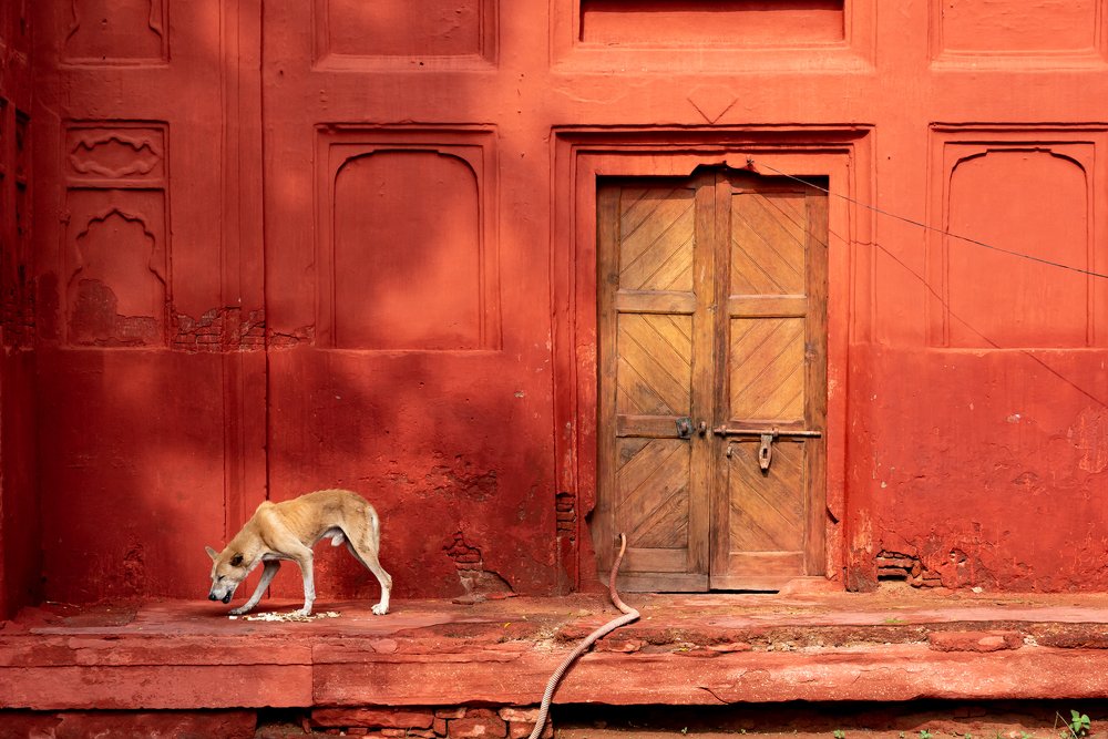 Photograph by Chetan Verma