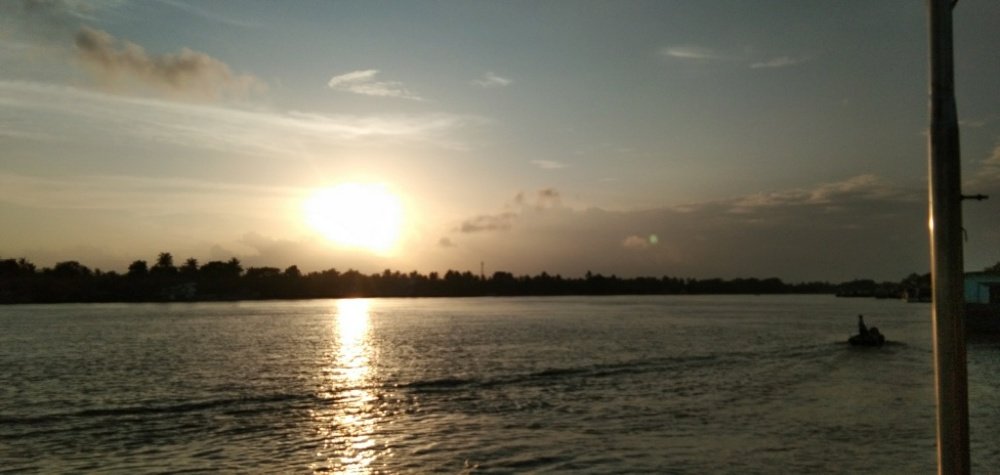 Photo #4962584