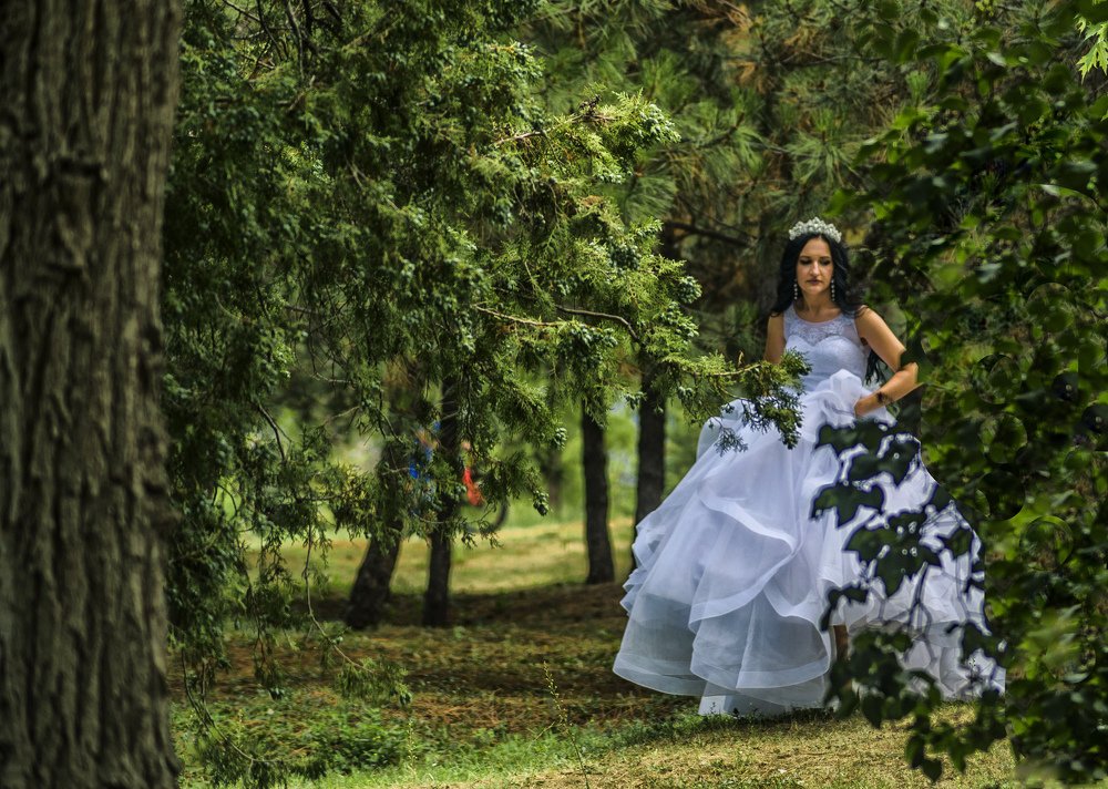 Сбежавшая невеста