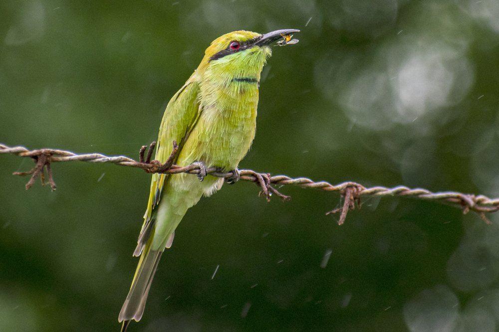 Photograph by mayur shrimali