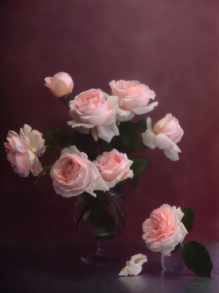 Photograph by Людмила Ефремова