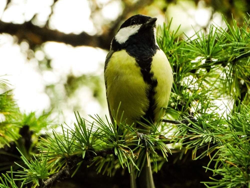 Photograph by Анжелика Трошина