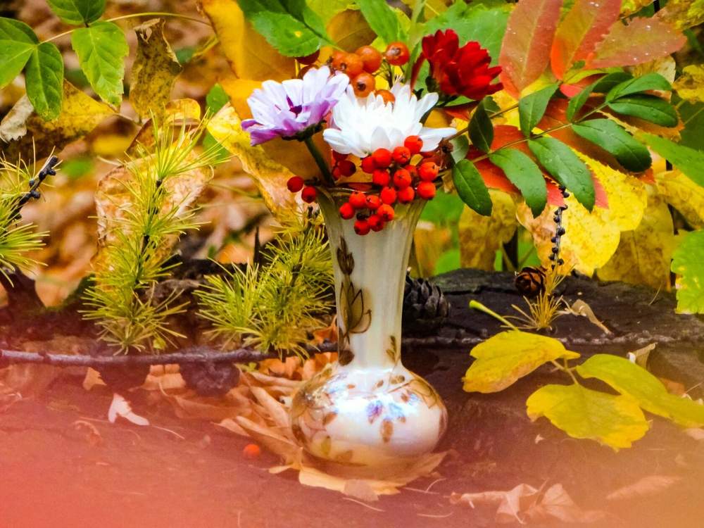 Photograph by Анжелика Трошина