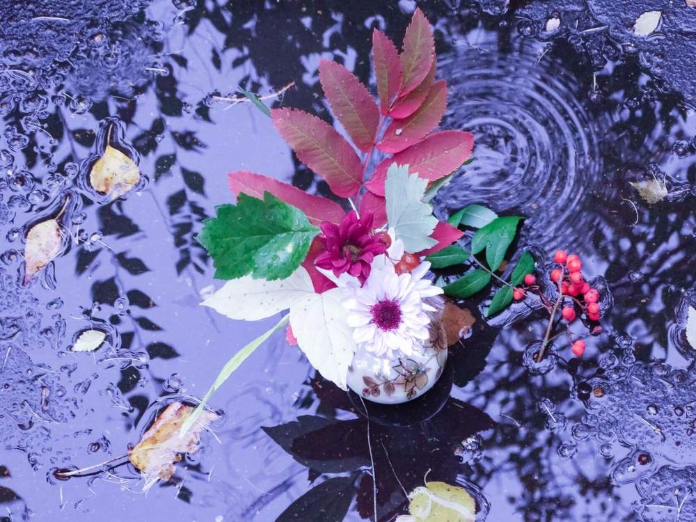 Photograph by Анжелика Трошина