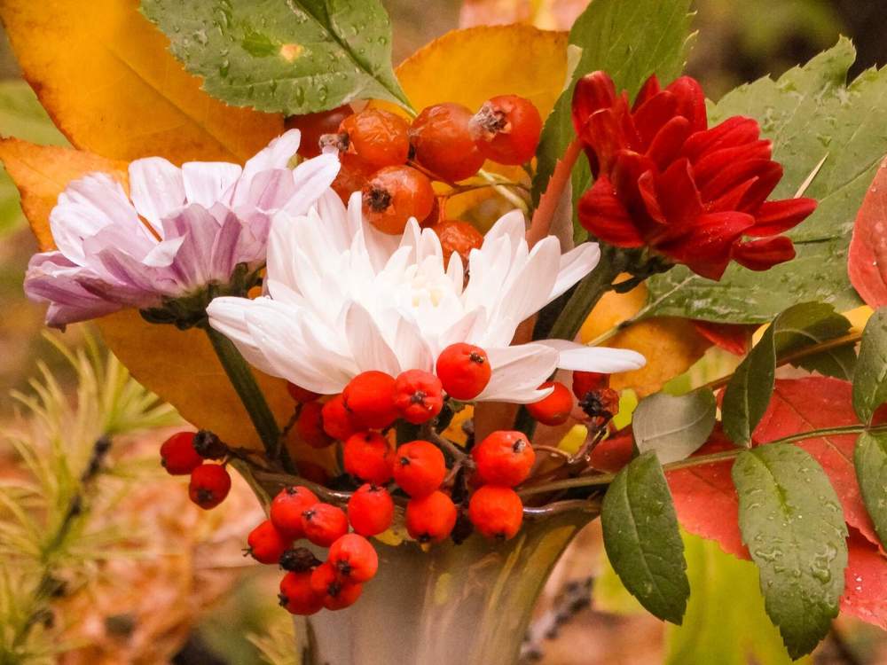 Photograph by Анжелика Трошина