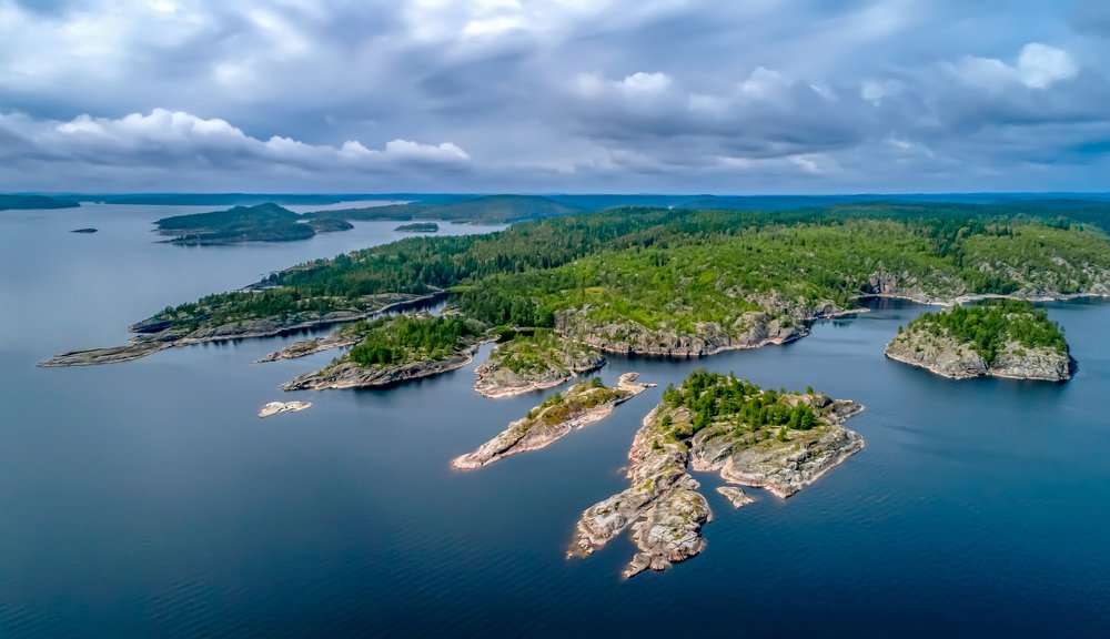 Trees Grow on the Stones Too