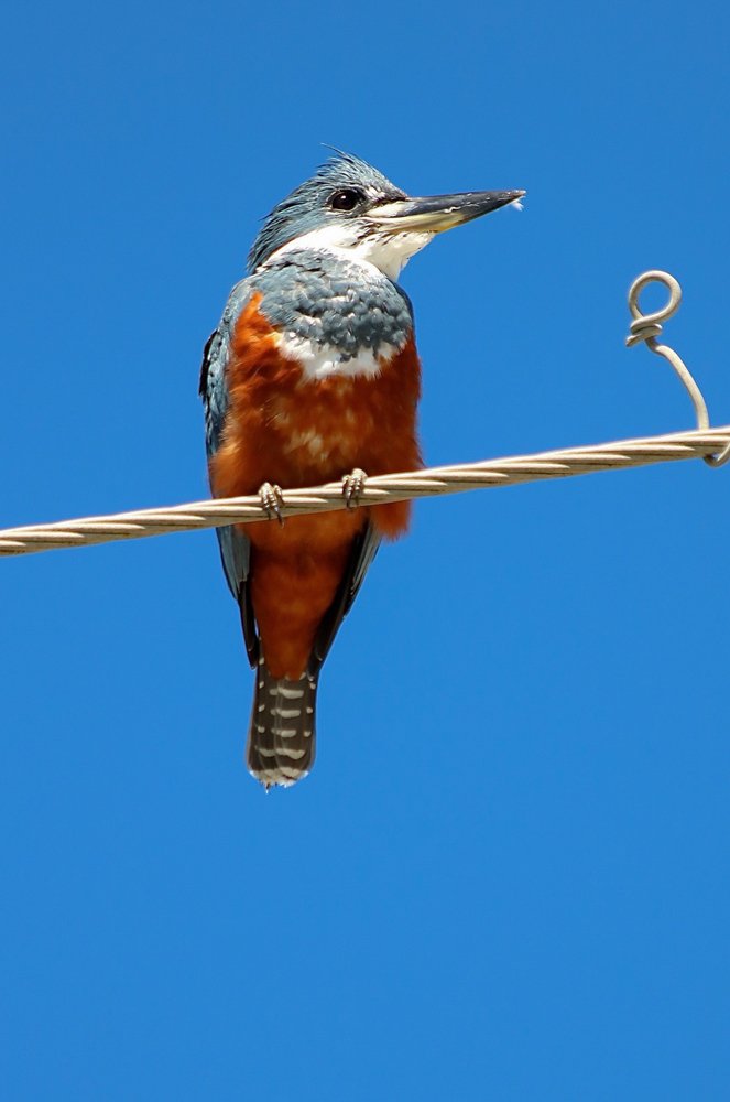 Фотография автора Liliana